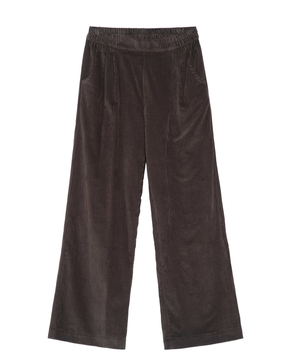 Women's corduroy pleat pants - earth 