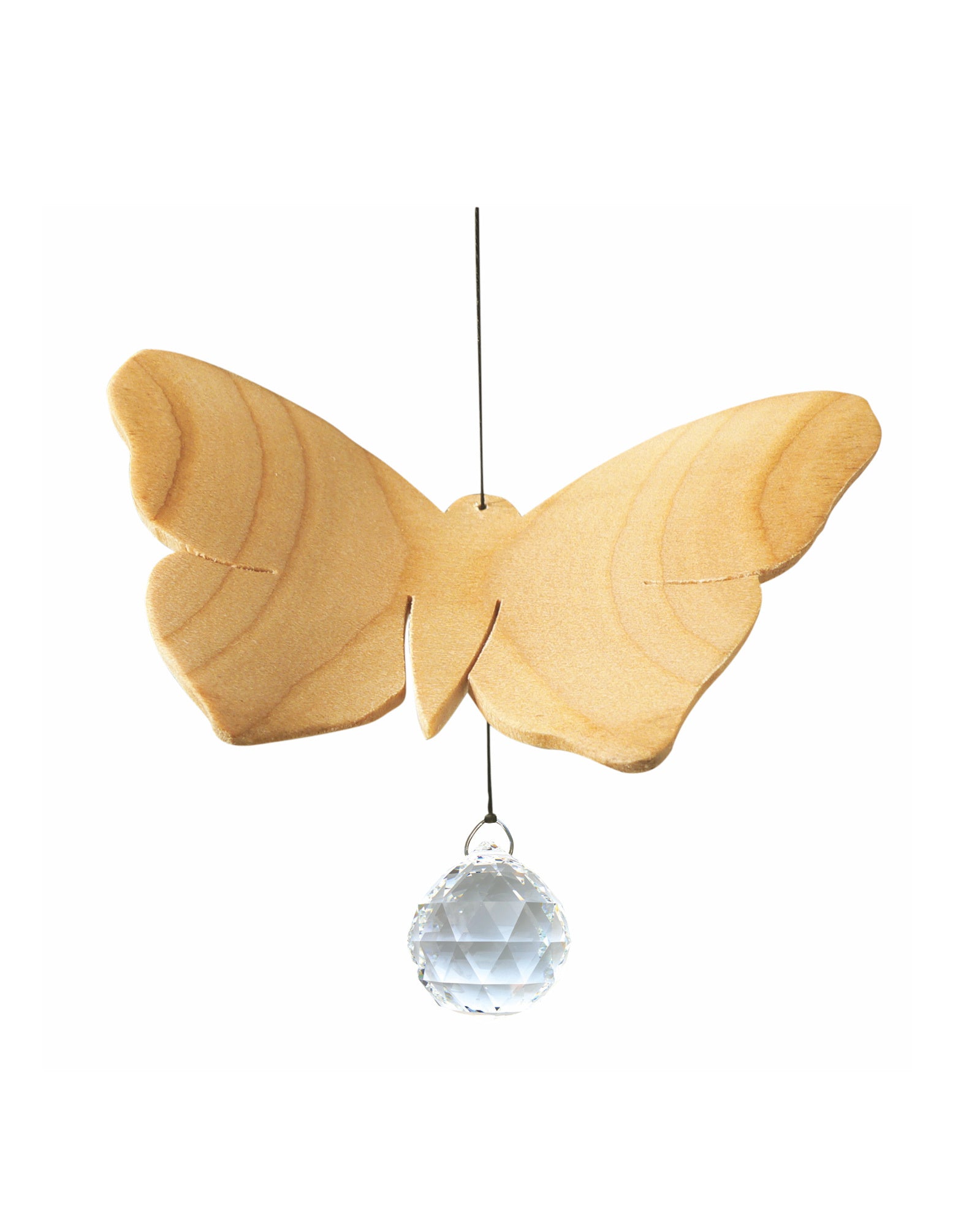 52009_Schmetterling