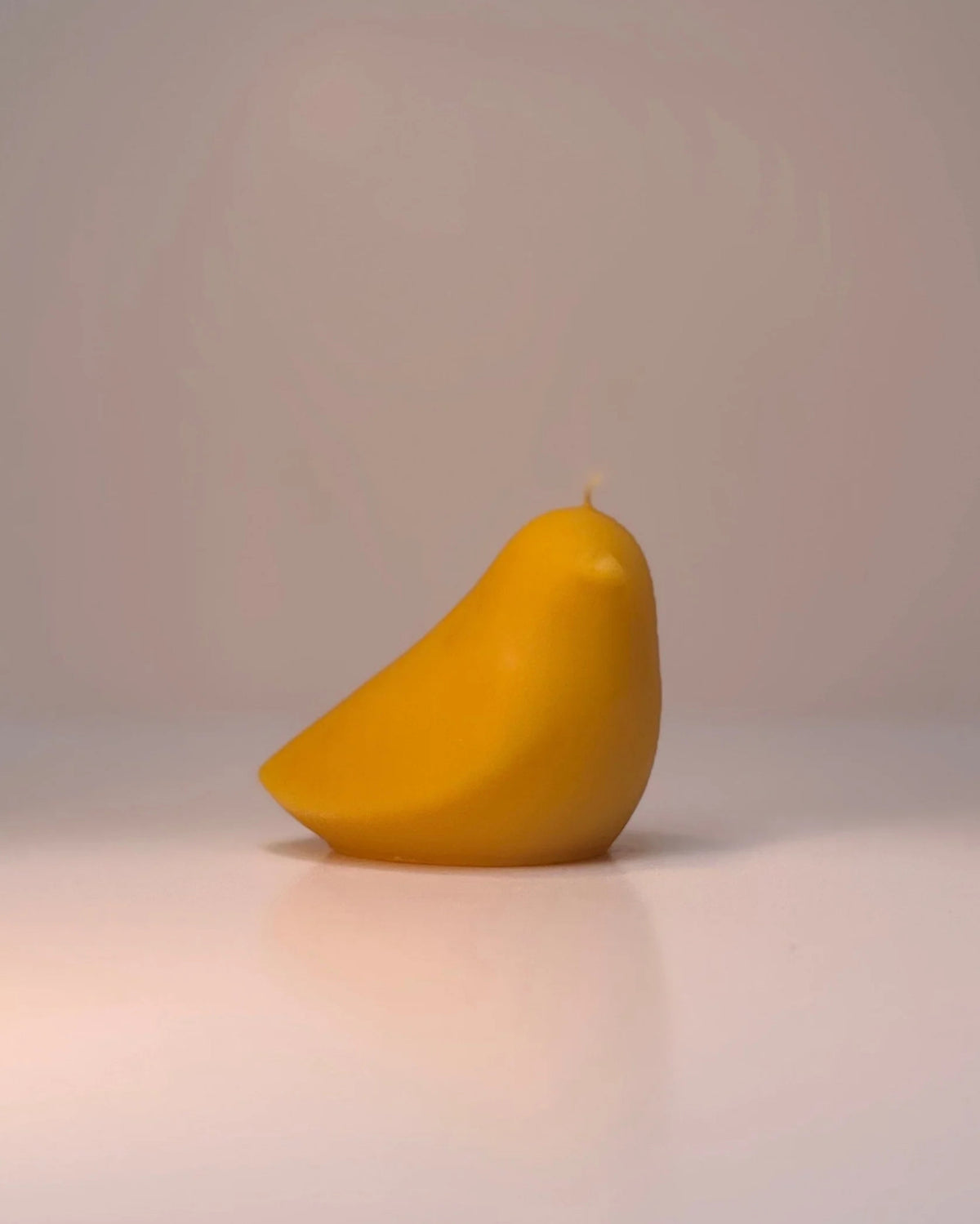 Bijenwas kaars - vogel