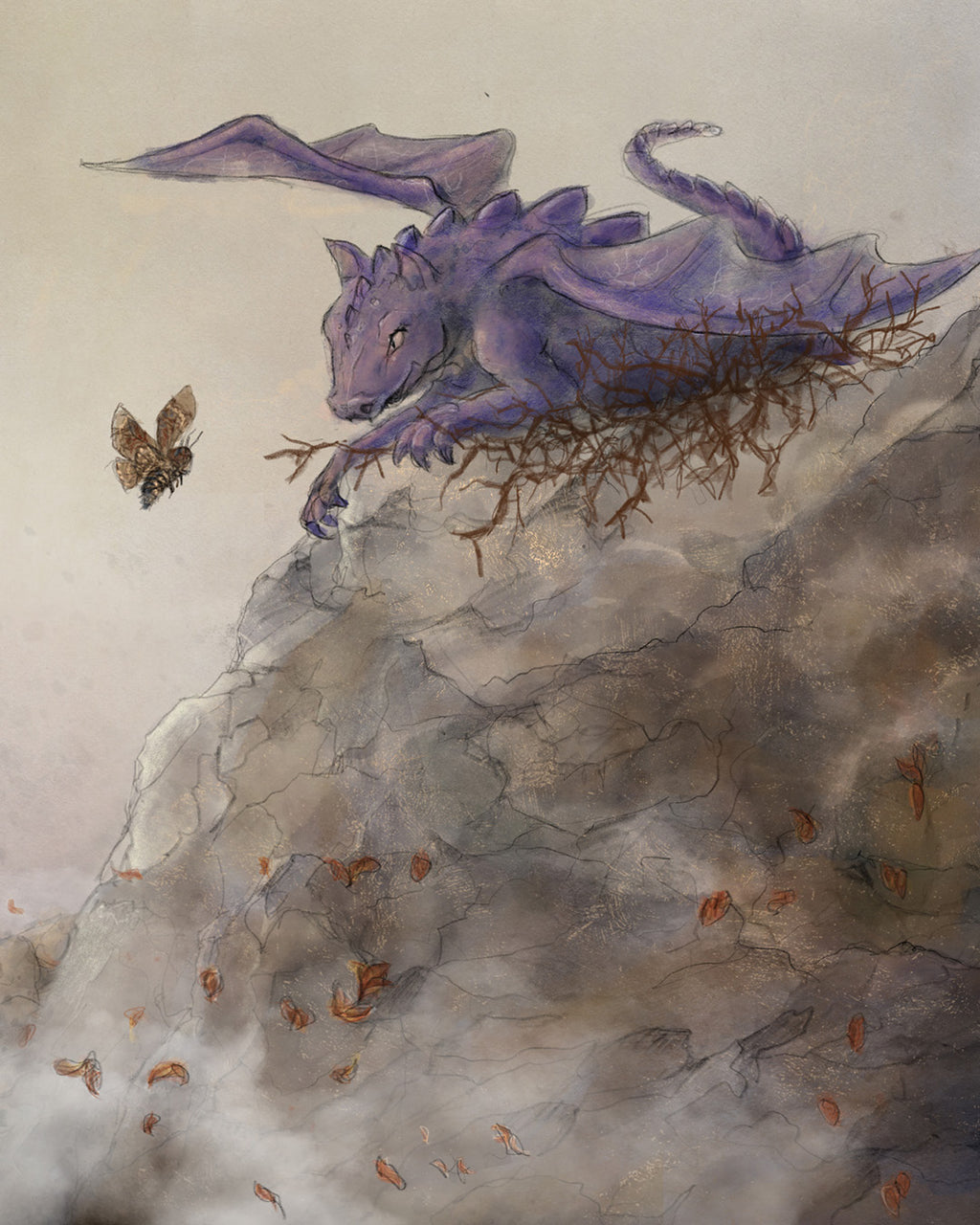 Wonderwoud - zomer 2026