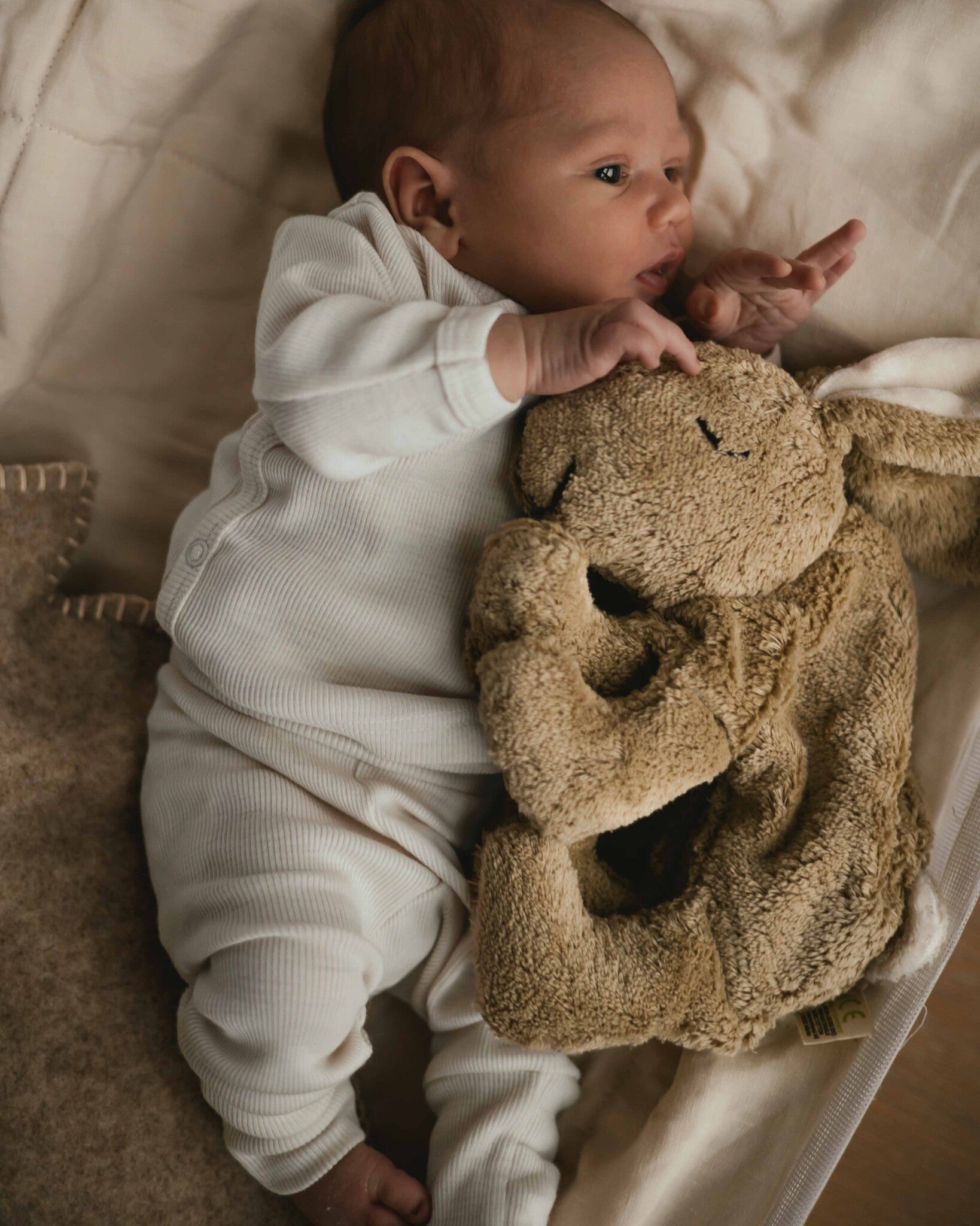 Alfie for Ziloen web-10