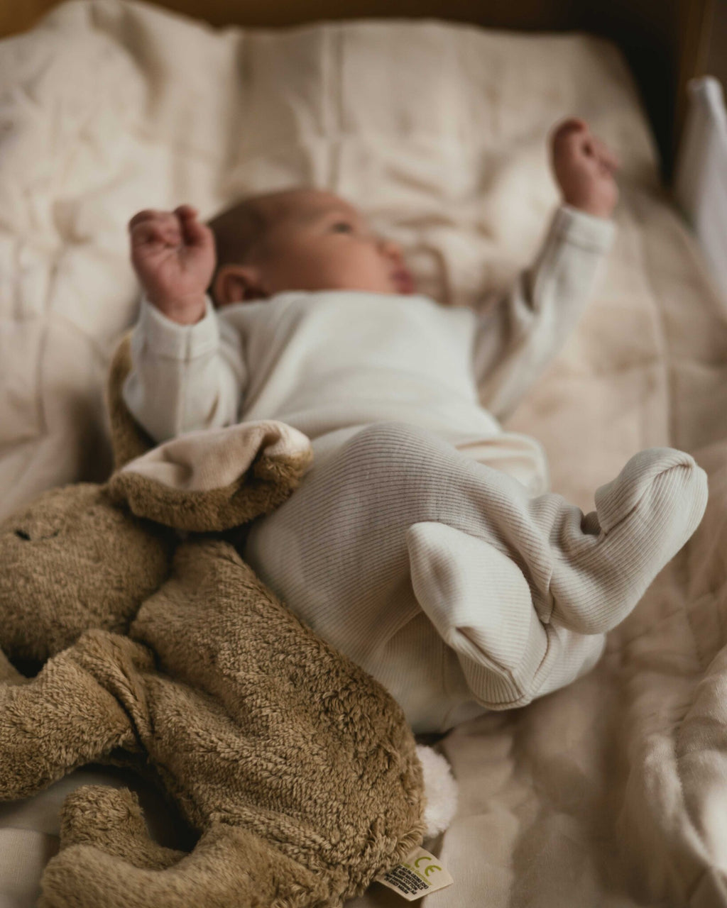 Alfie for Ziloen web-5