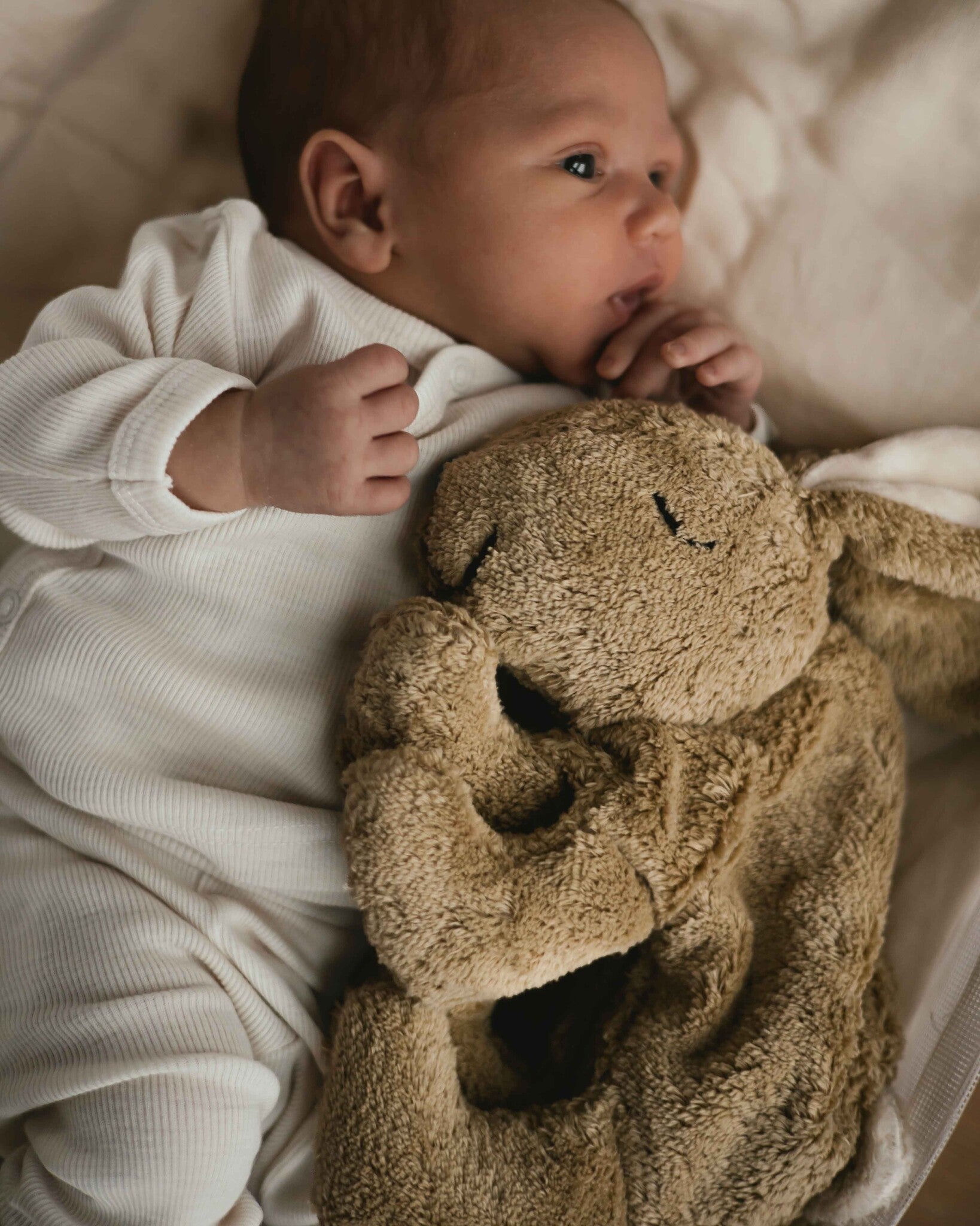 Alfie for Ziloen web-9