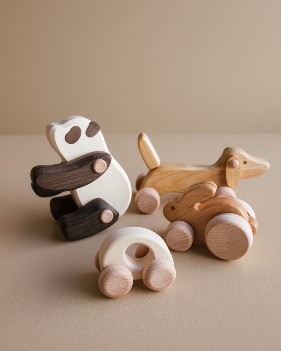 Bajo dieren en auto copyright Ziloen