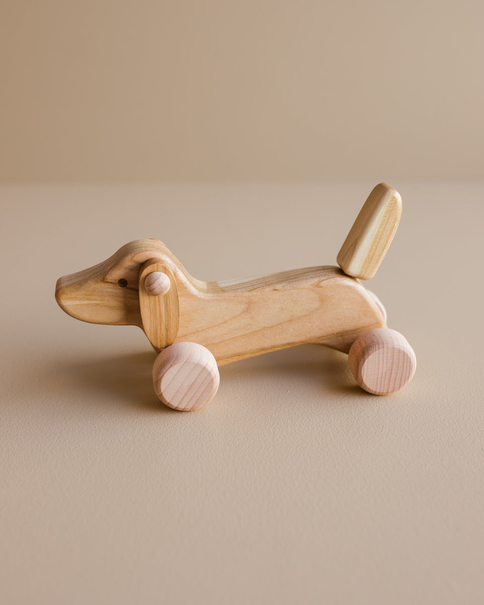 Bajo teckel puppy copyright Ziloen