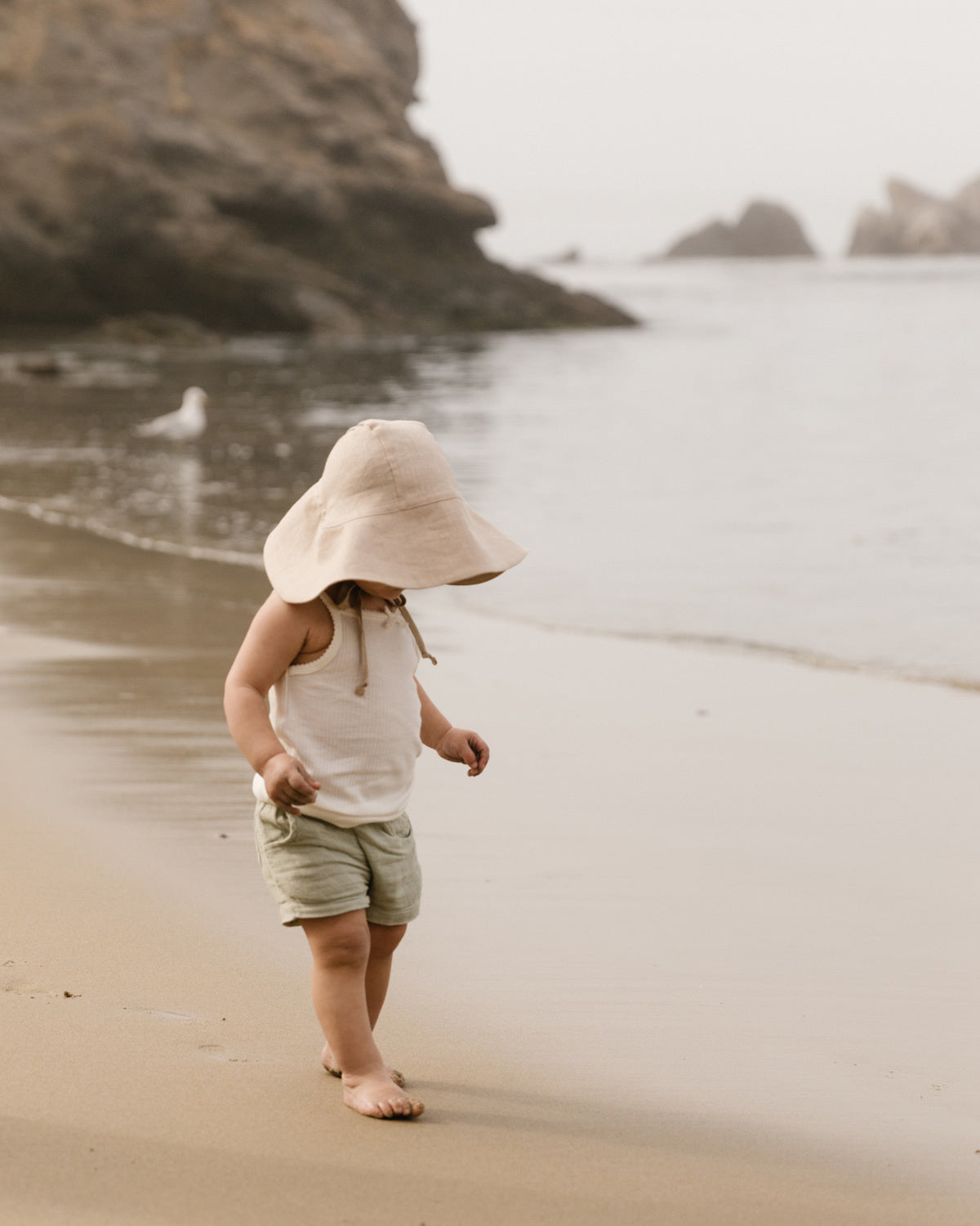 Briar_Sun_Bonnet_pebble