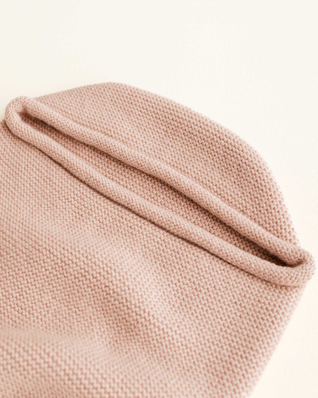 COCOON APRICOT 2