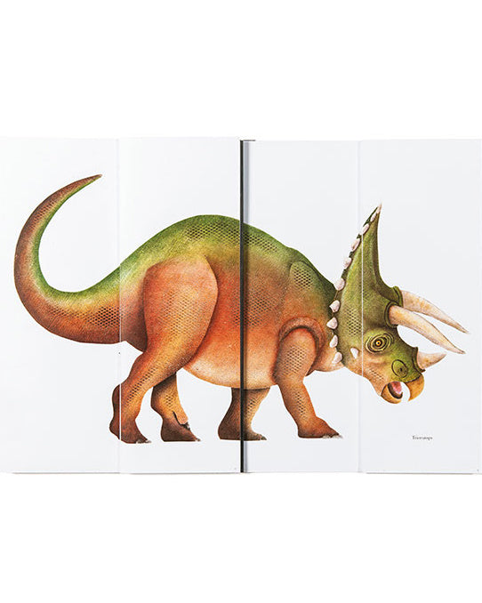 DINORAUSES boek flappen