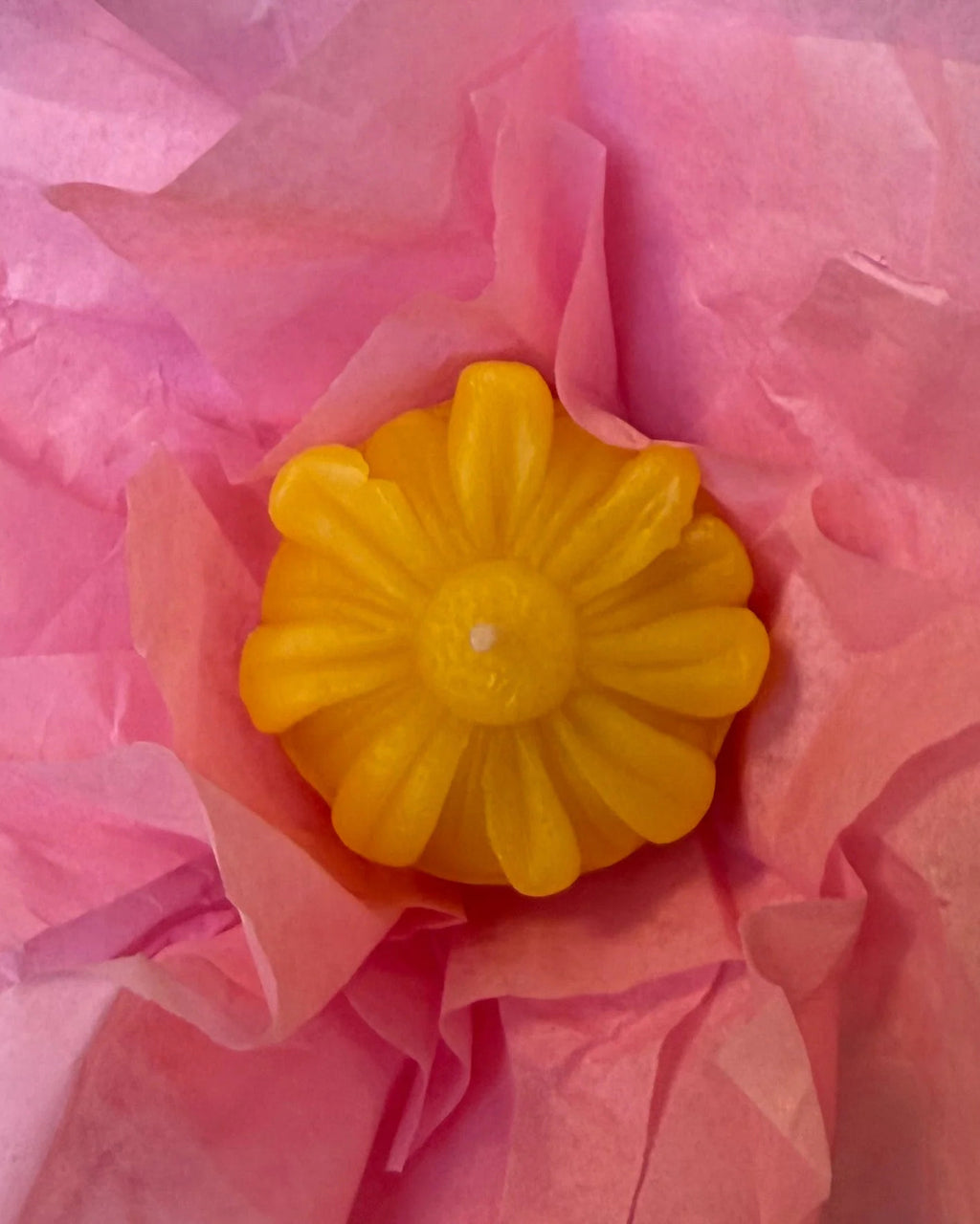 Het Bloemenfeest 4