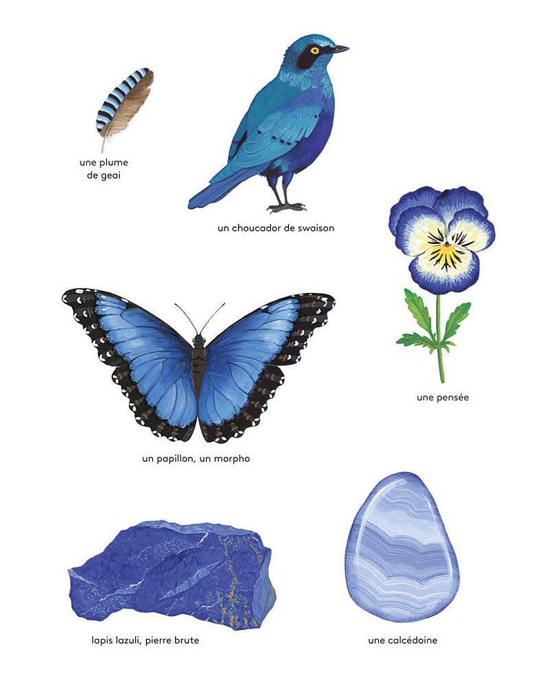 Imagier des couleurs de la nature Pascalle Estellon-8