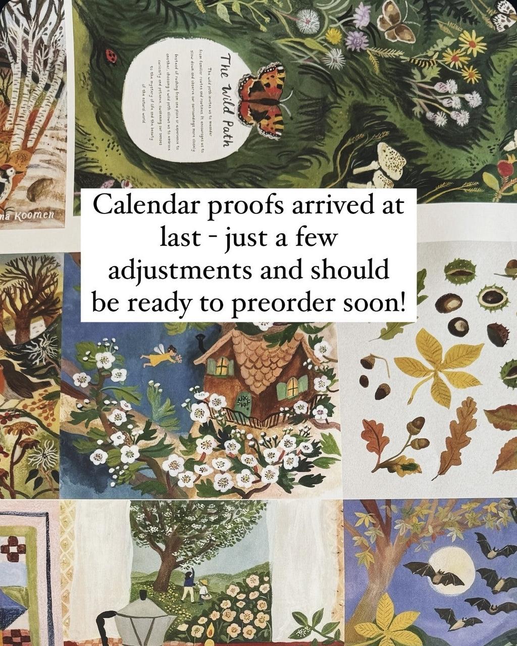 IMG_1817