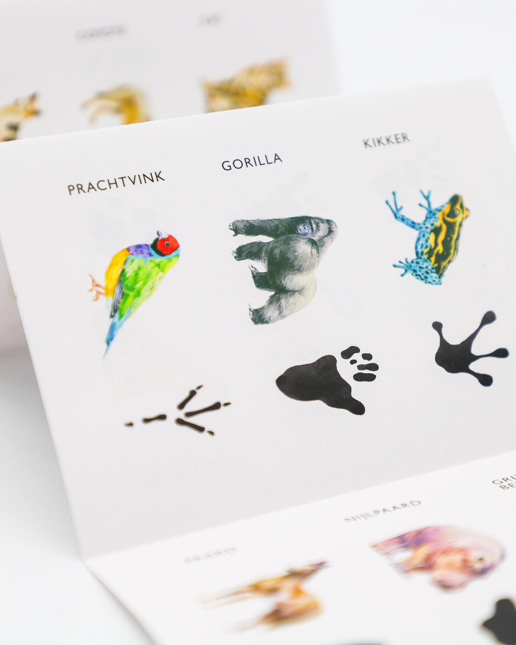 Kosmos Dieren & Sporen - Memory Spel_5