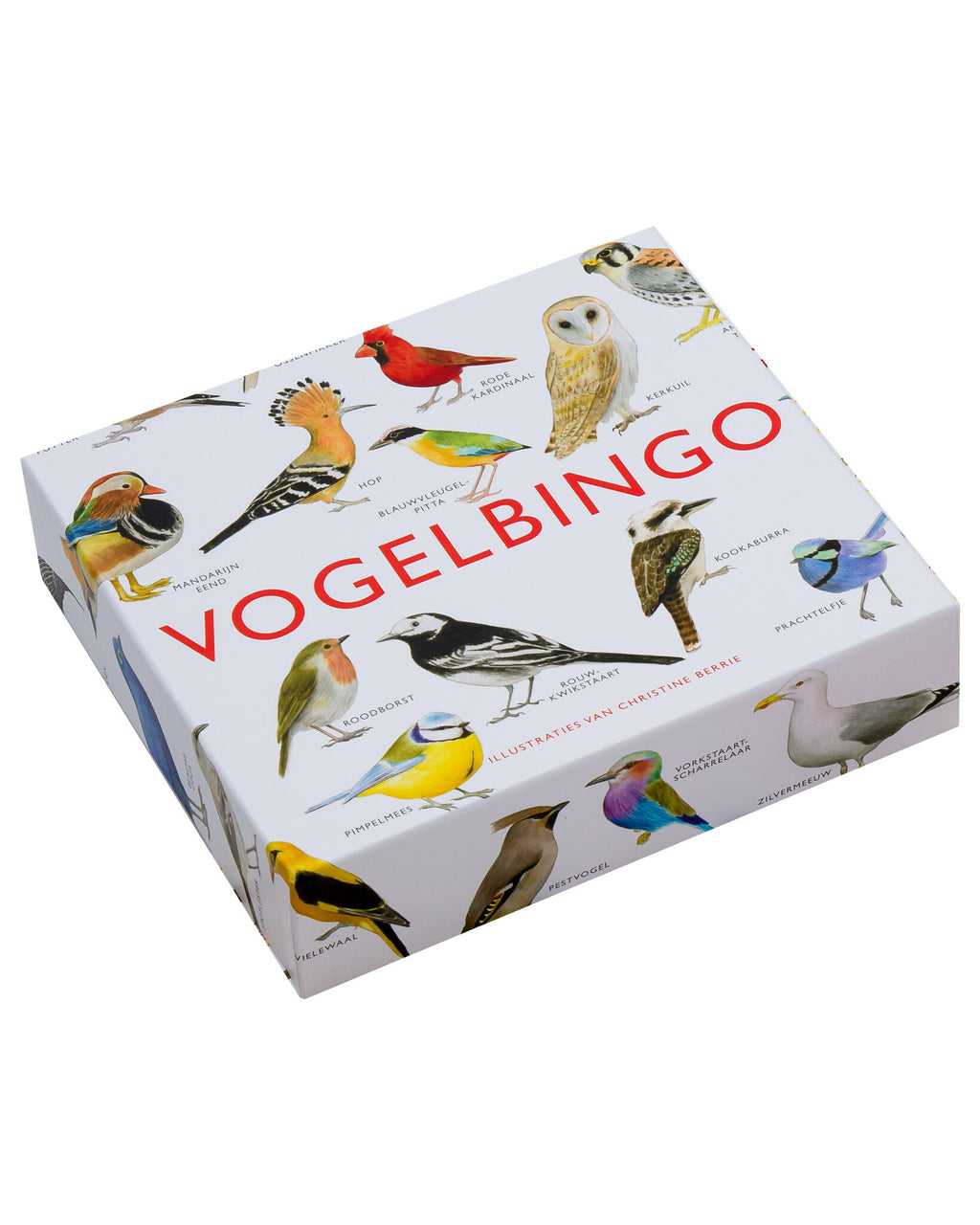 Kosmos vogel bingo_5