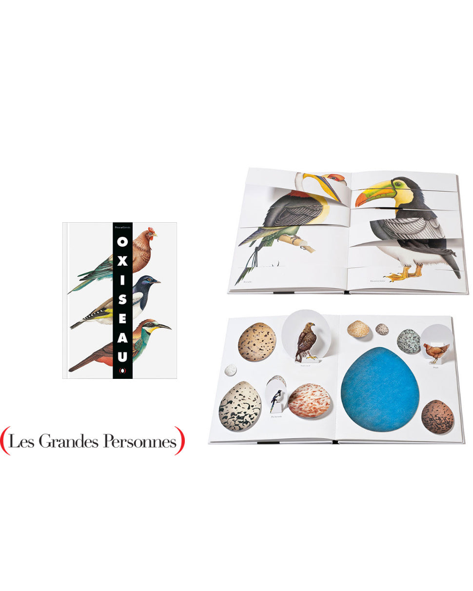 Les Grandes Personnes birdbook