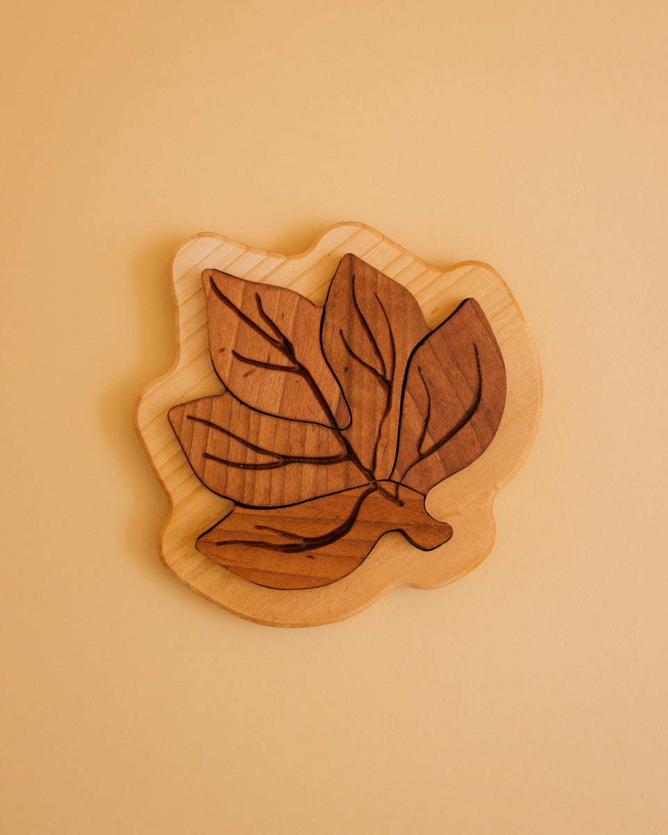 Oyuncak puzzel houten blad