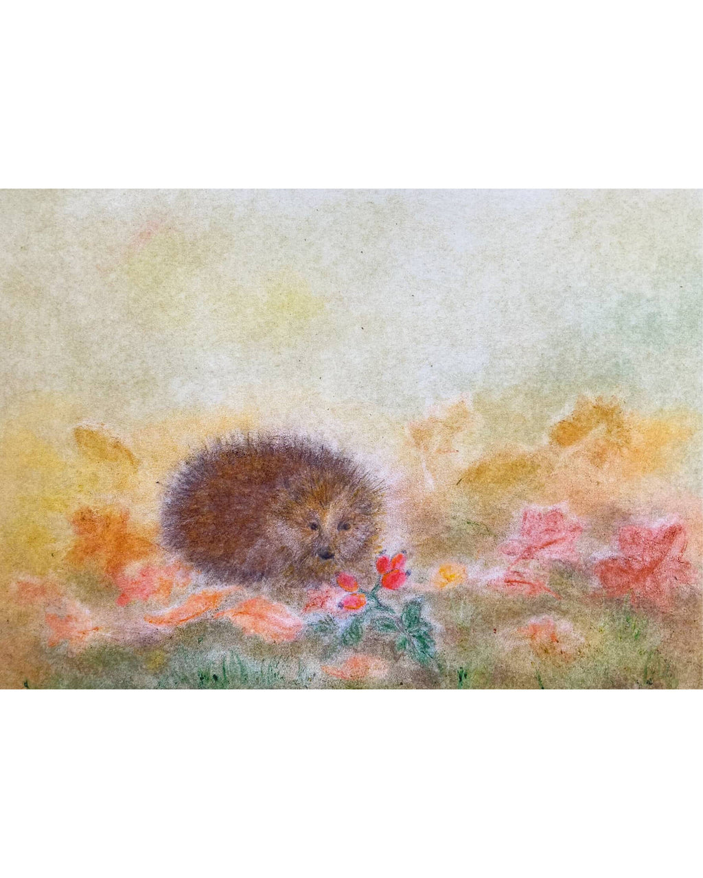 Seccorell-kaart-egel