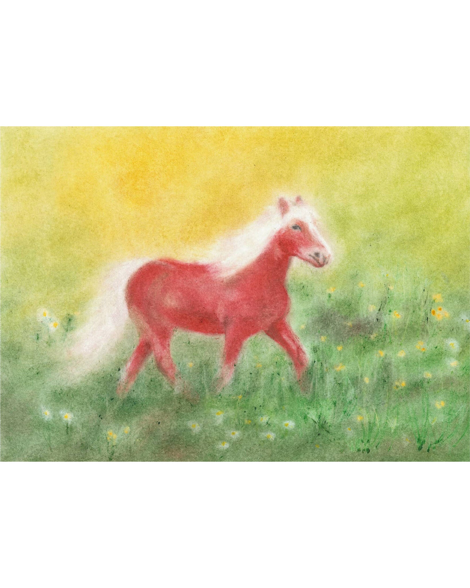 Seccorell-kaart paard