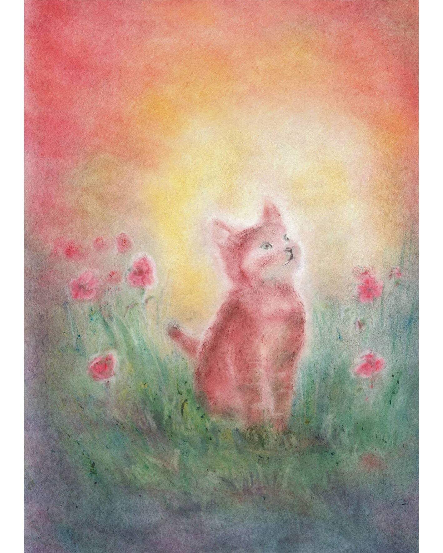 Seccorell-kaart poes