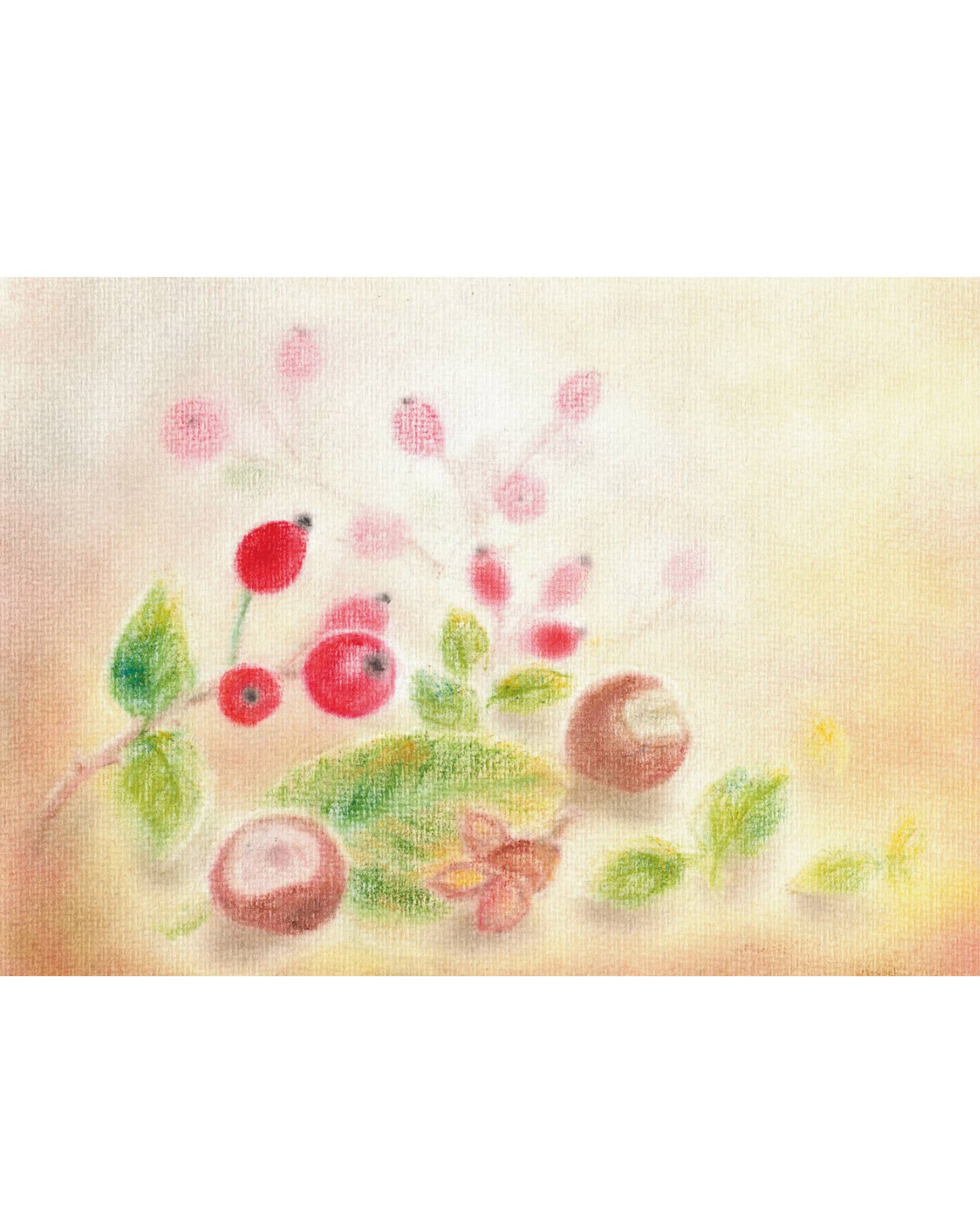 Seccorell rozenbottels 1