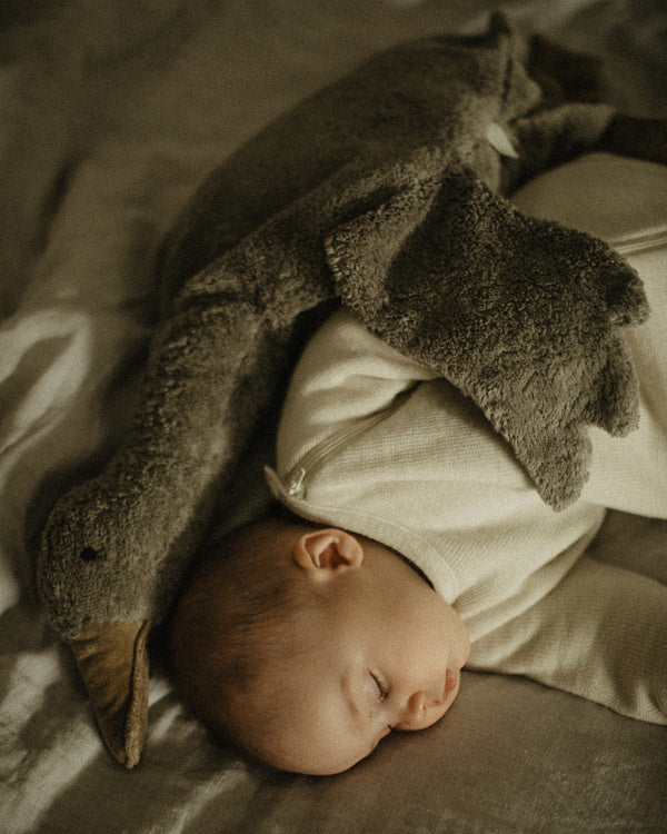 Senger-cuddle-goose
