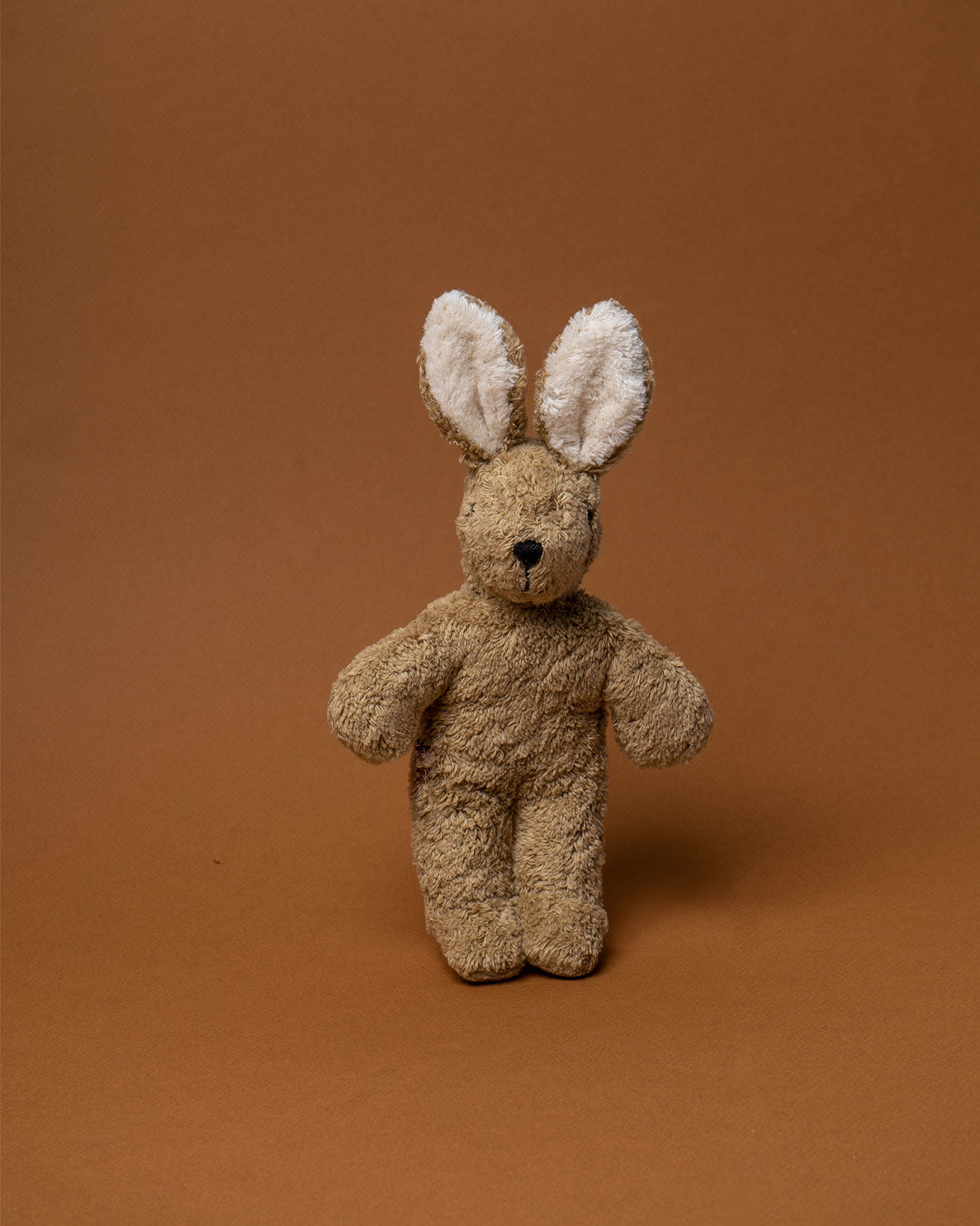 Senger-Konijn-Baby