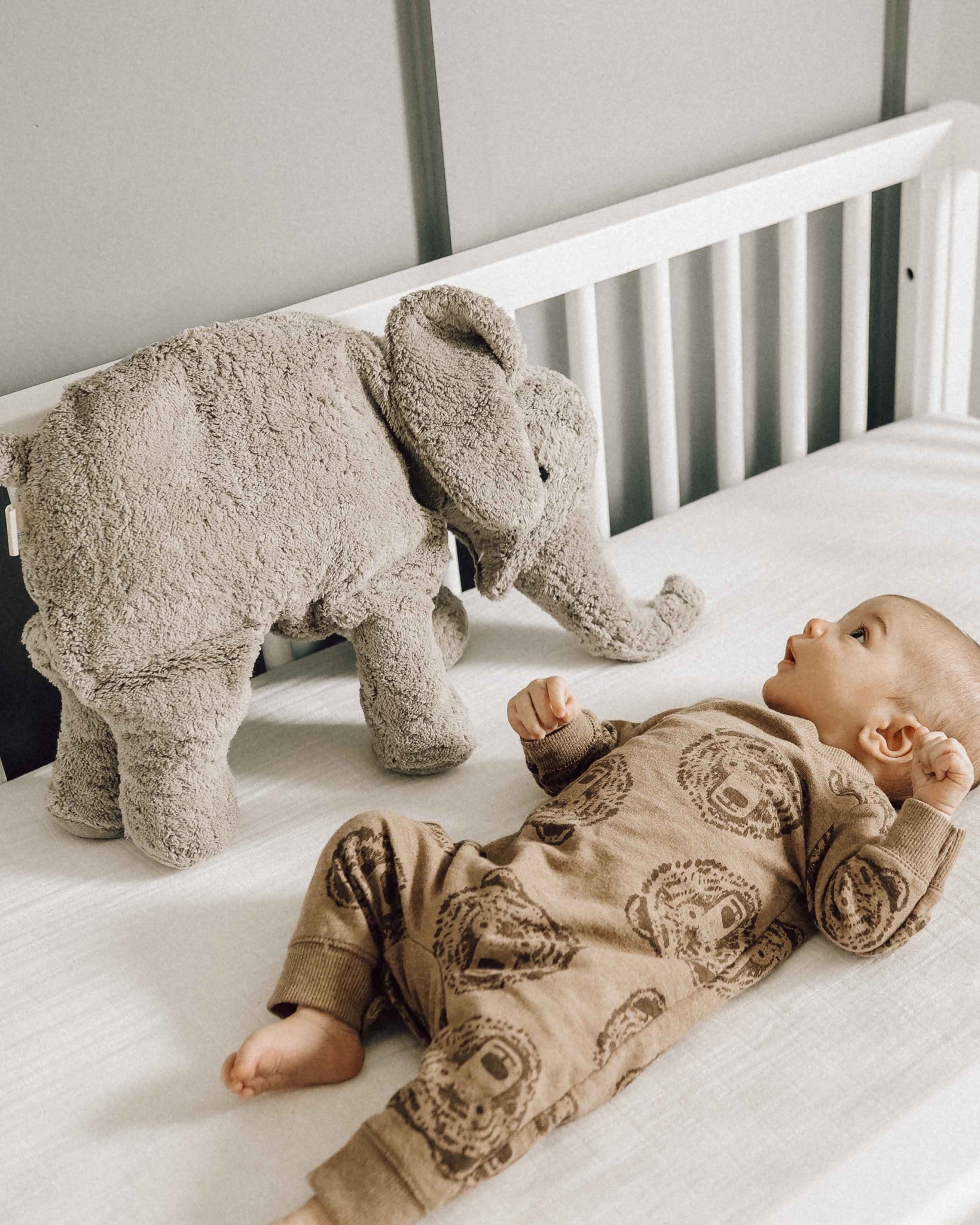 Senger natur olifant Y21053