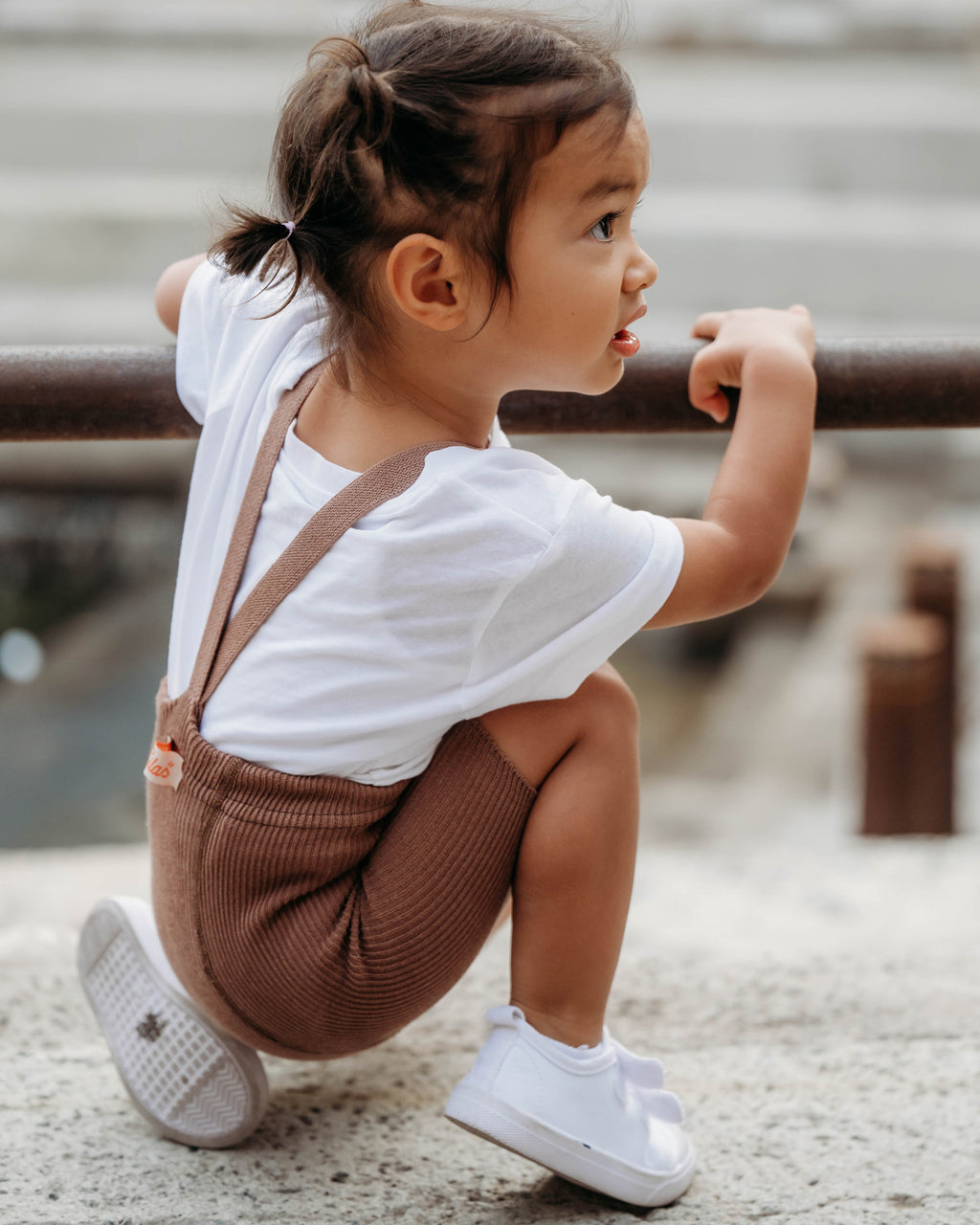Silly-Silas---Shorty---Granola-3