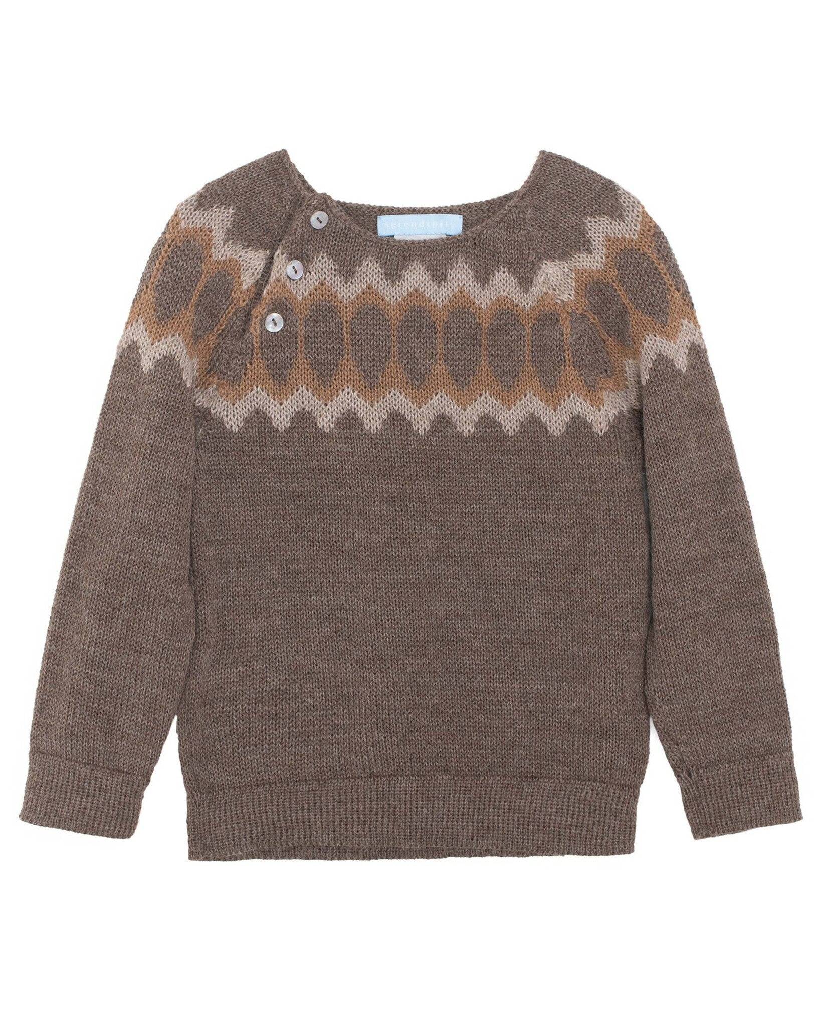 W501-earth kindertrui 1