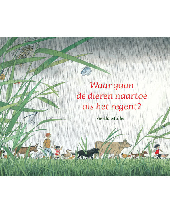 Waar gaan de dieren natoe als het regent? Gerda Muller