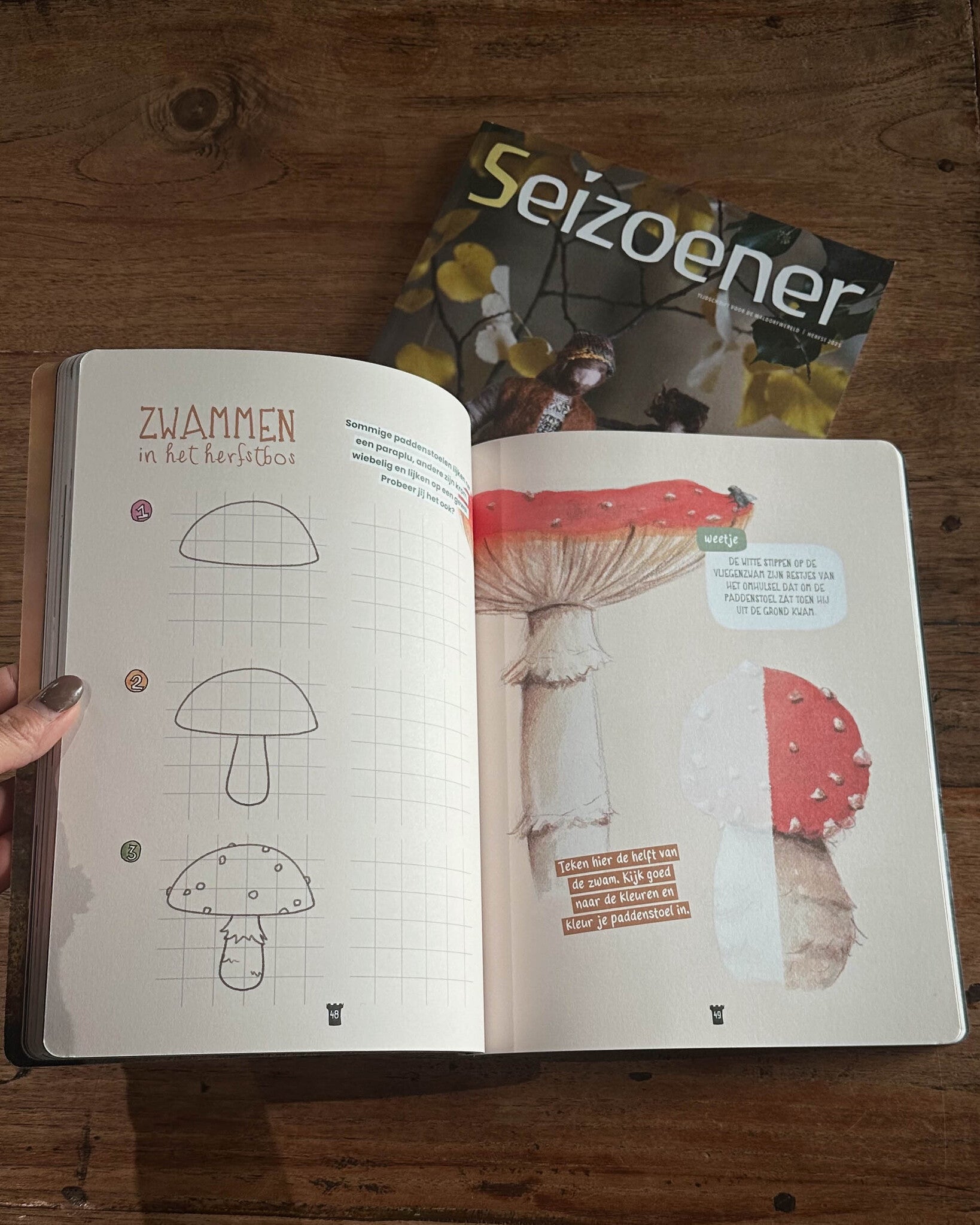 Wonderwoud herfst 2025-2